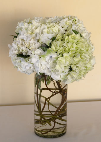 49 centro de mesa
 con Hortensias
(Hydrangea)