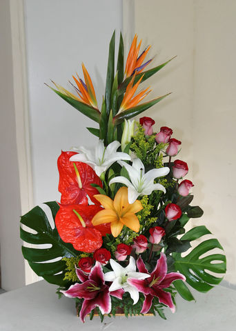 35 rosas y flores tropicales