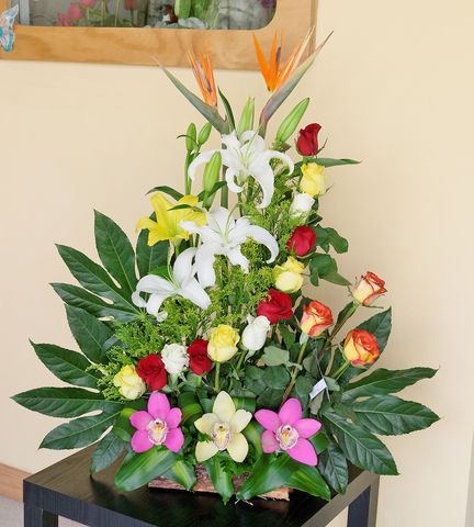 3 tropical con orquideas