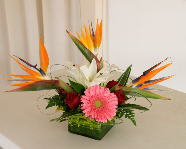 21 aves del paraiso gerberas rosas y casablancas en base de vidrio