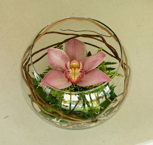 36 pecera de vidrio con orquidea
