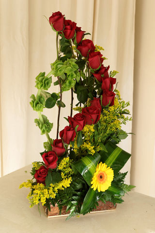 9 rosas y gerberas