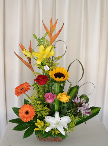 68 tropical con girasoles