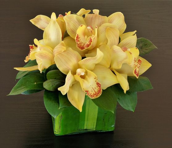 16 orquideas y follaje en base de vidrio