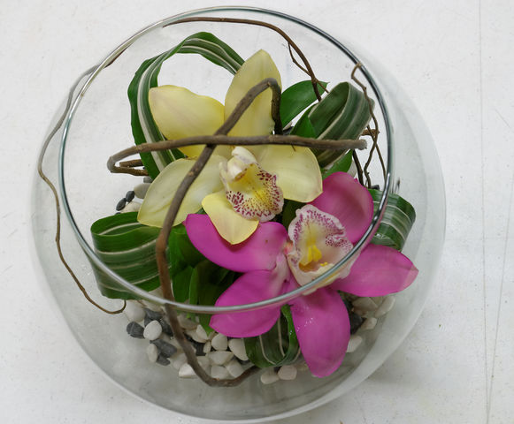 2 Orquideas en pecera