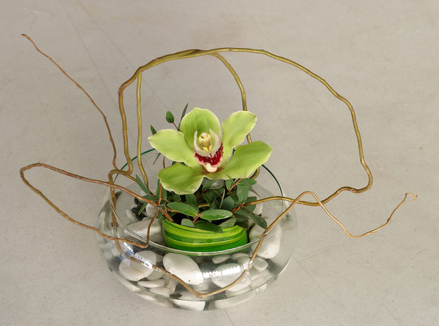 29 orquidea en base de vidrio