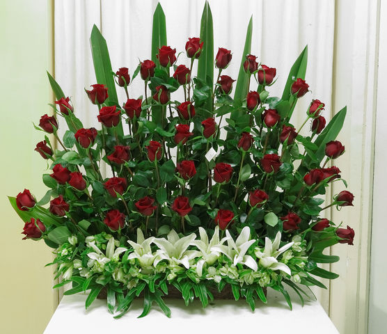 94 50 rosas