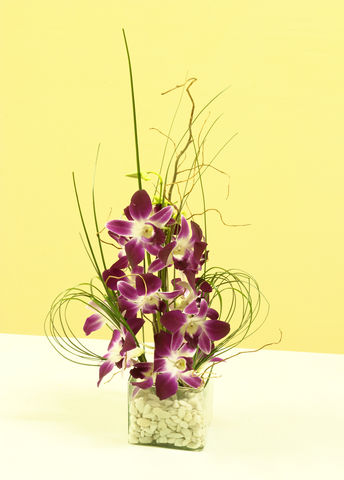 17 orquideas dendrobium en base de vidrio con piedritas