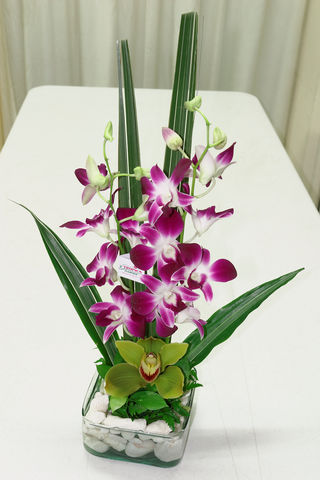 30 orquideas en base de vidrio