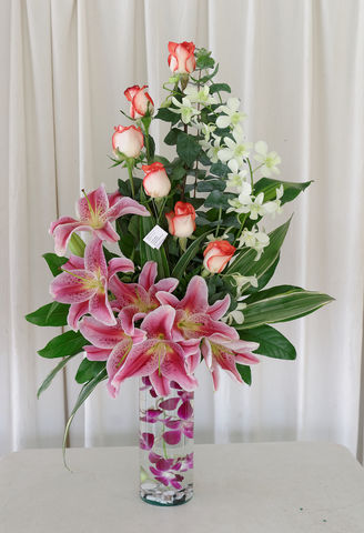 70 Dendrobium ,acapulco y rosas
